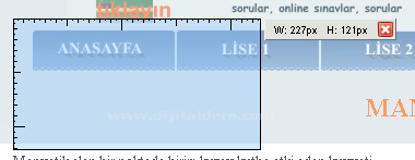 Measurelt Ve Web Developer