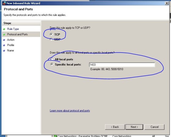 SQL Server?ı Uzaktan Bağlantı İçin Ayarlamak